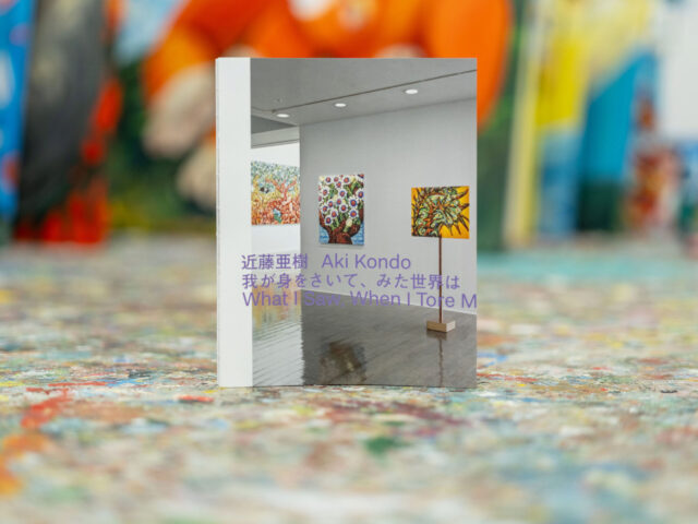 水戸芸術館「近藤亜樹：我が身をさいて、みた世界は」展覧会図録