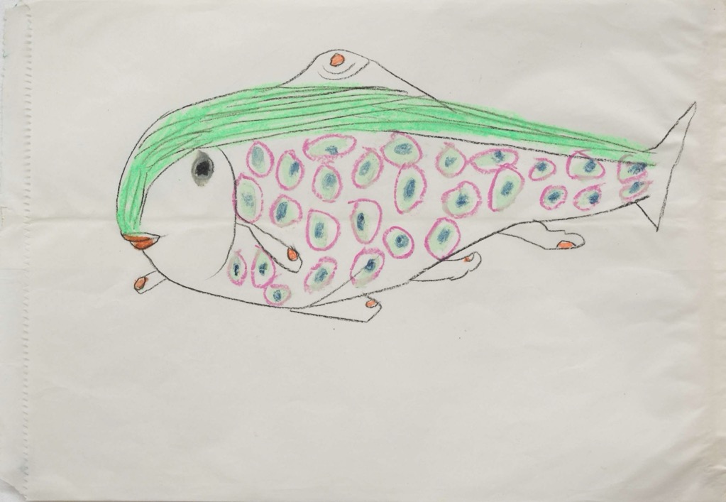 2013　魚