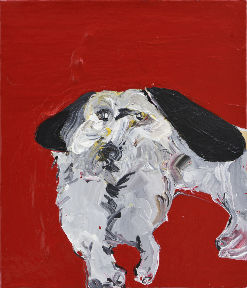 Dog