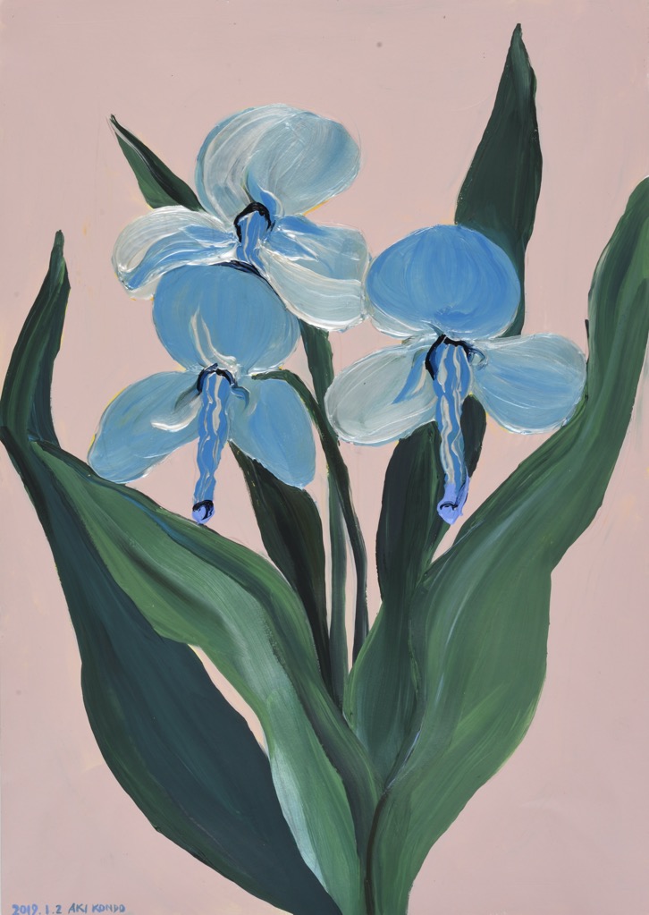 お屋敷の花