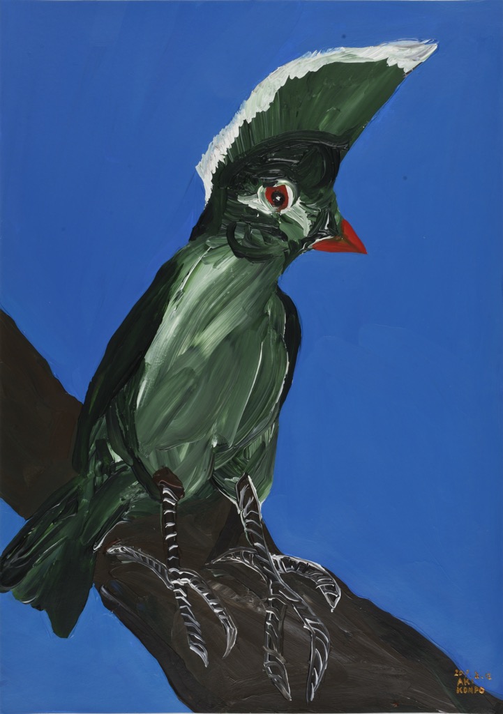 山の鳥