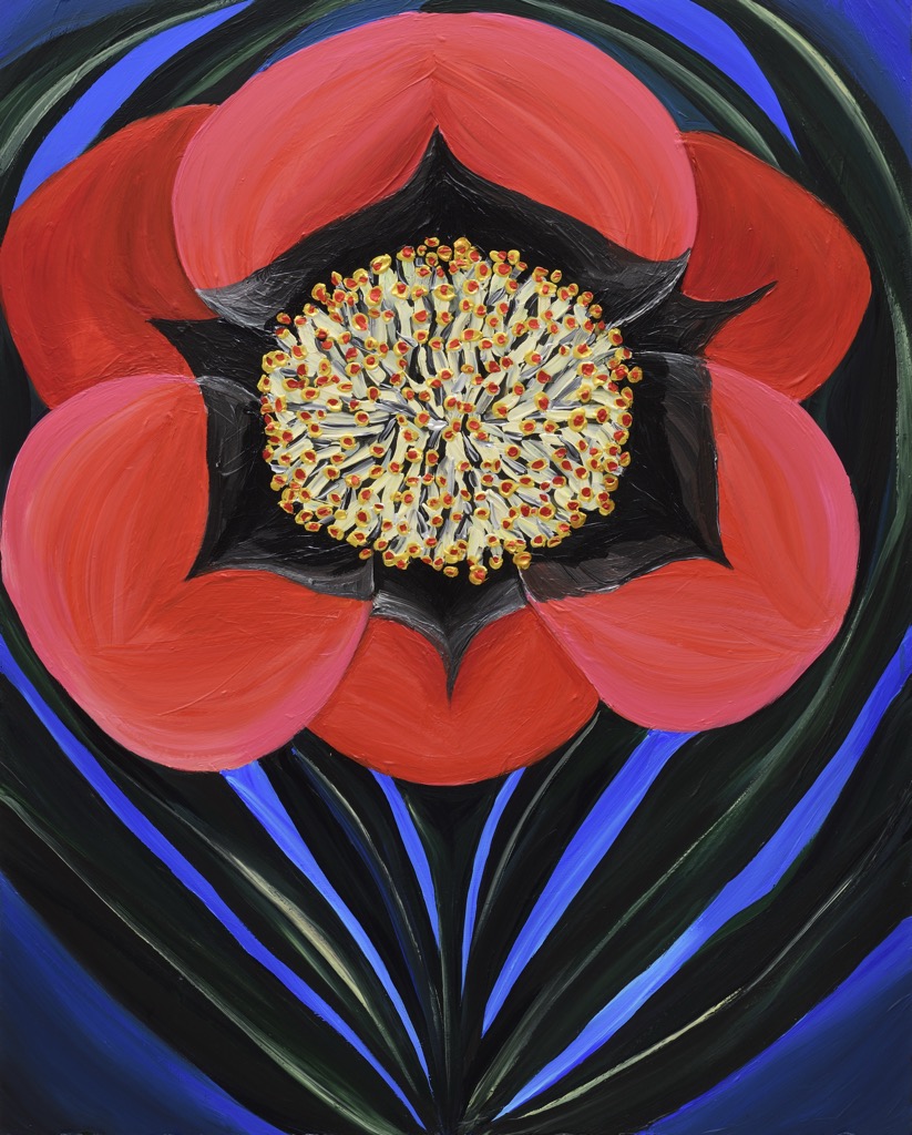 円を描く花