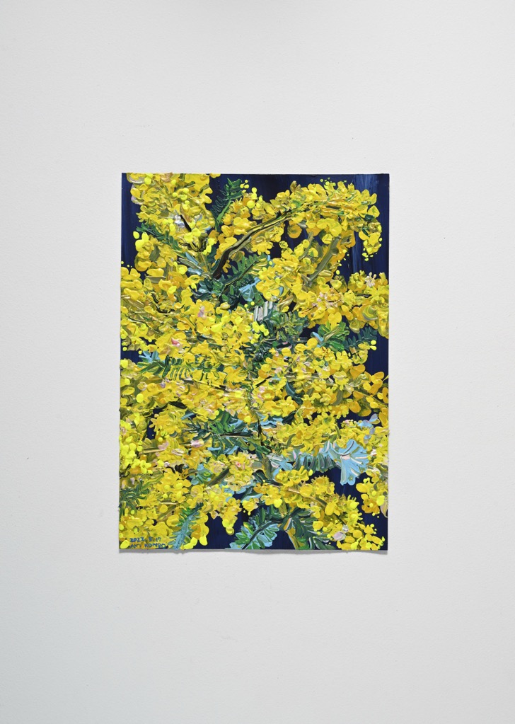 Power of Life (Mimosa)